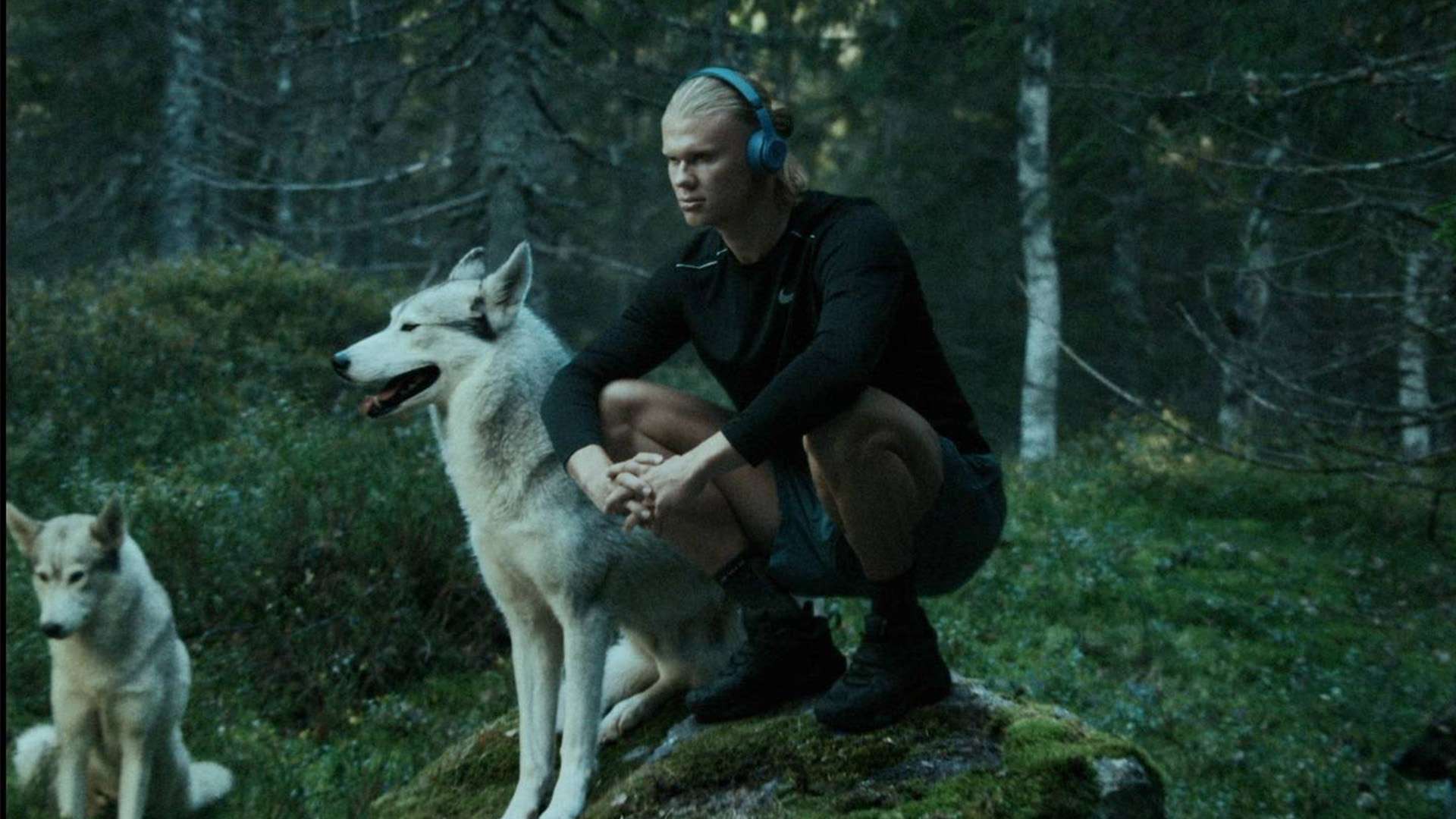 而范戴克则 而范戴克则